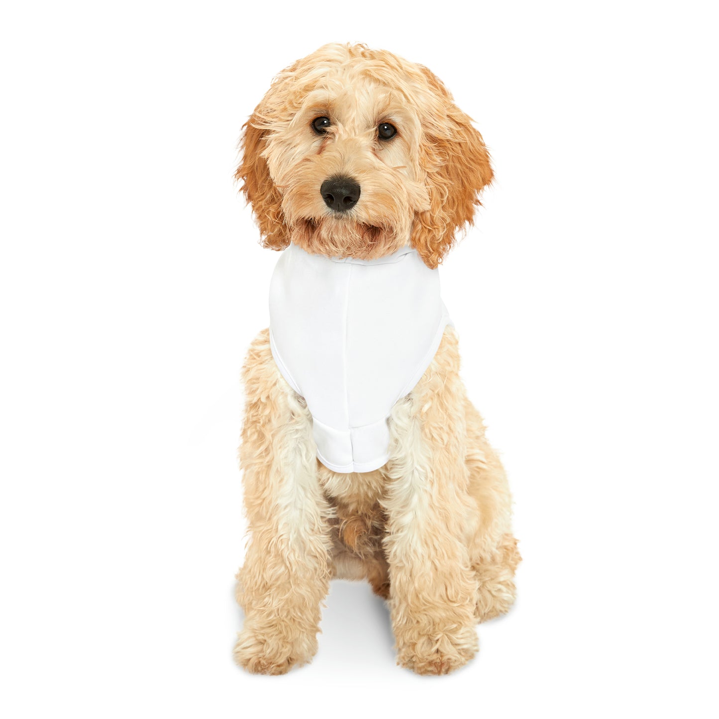 I Say Relax custom for Frankie - Pet Hoodie